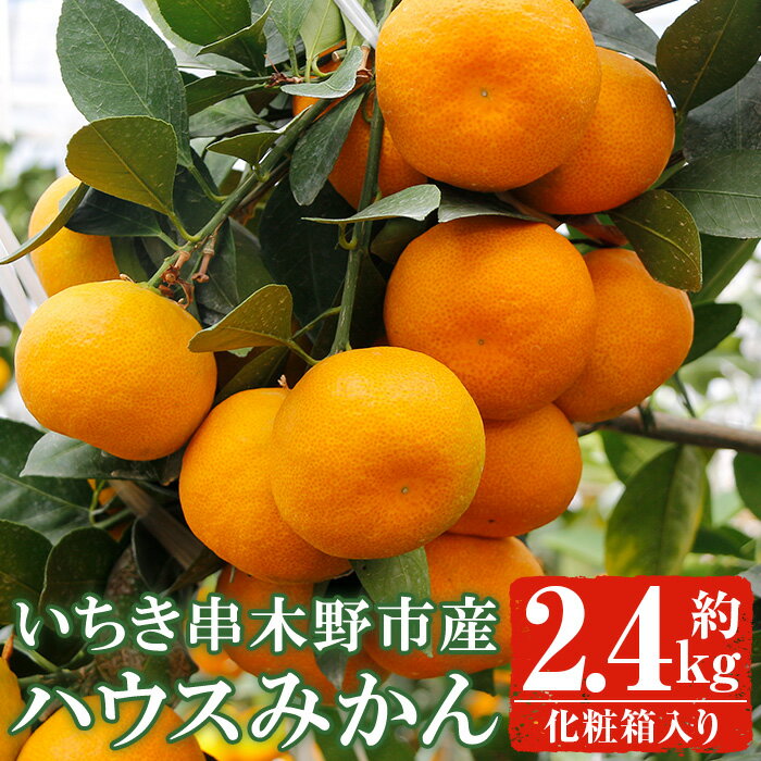 【ふるさと納税】＜終売間近！＞安心安全！JAさつま日置産 ハウスみかん(約2.4kg化粧箱) 国産 九州産 鹿児島県産 ハウスみかん ミカン みかん 蜜柑 柑橘 果物 果実 フルーツ 旬 デザート 【JAさつま日置北部営農センター】
