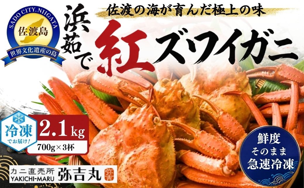 
                  佐渡島産 浜茹で紅ズワイガニ 1杯700g×3杯 冷凍 産地直送 解凍後そのまま | 新潟県産カニ 佐渡産カニ 佐渡島産ずわいがに 紅ズワイガニ 紅ずわいがに ベニズワイガニ ズワイガニ カニ 蟹 かに ボイル 浜茹で 海鮮 魚介 魚介類 にいがた さど 新潟県 佐渡市
                