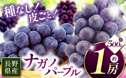 【先行受付】ナガノパープル 1房（約500g）｜ふるさと納税 松本市  ぶどう 葡萄  ナガノパープル 果物 フルーツ 種無し 新鮮 信州産 先行予約