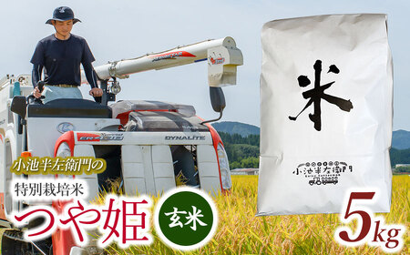 数量限定 【令和7年産】 山形県庄内産 小池半左衛門のお米 特別栽培米 つや姫 玄米 5kg (5kg×1袋)　