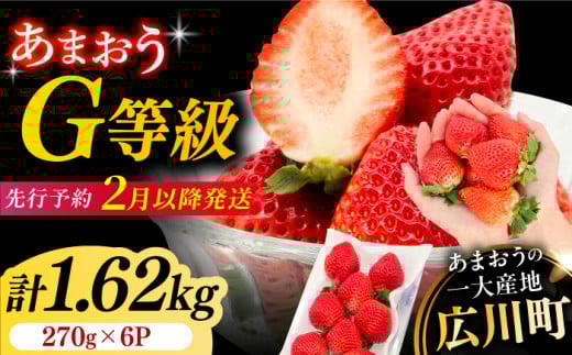 【★先行予約★　2026年2月より発送】あまおうG等級 3ケース（270g×6パック）いちご イチゴ 苺 フルーツ 果物 旬 福岡県産 小分け あまおう 博多 大きい 甘い 広川町 / JAふくおか八女農産物直売所どろや [AFAB071]