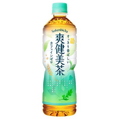 ふるさと納税 紀の川市 爽健美茶600mlPET×24本