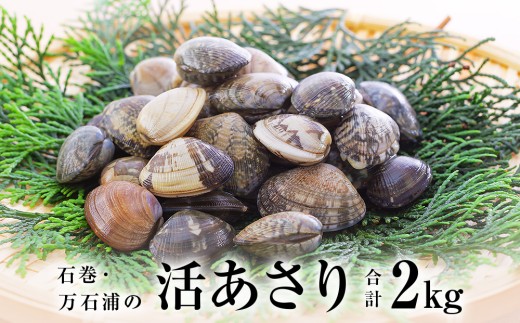 石巻・万石浦の活あさり(2kg) アサリ あさり 天然 貝 プリプリ おかず 味噌汁 砂抜き