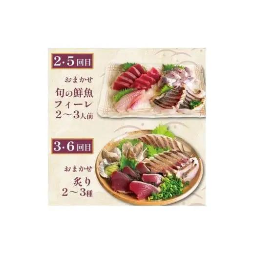 【 海鮮 】 海鮮定期便6ヶ月