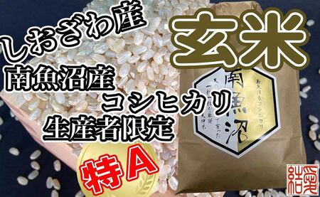 【定期便】玄米 南魚沼しおざわ産コシヒカリ2Kg×6ヶ月