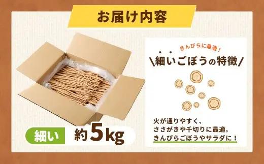 鹿児島県産 洗い【細い】 ごぼう 約5kg 【規格外・訳あり品】【2026年12月上旬-3月下旬発送予定】 AS-4116