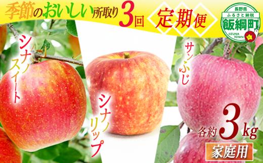 季節のおいしい所取りりんご 【 定期便 】 家庭用 3kg × 3回 大友農場 エコファーマー認定 沖縄県への配送不可 2026年8月中旬頃から2026年12月下旬頃まで順次発送予定 令和7年度収穫分 信州 果物 フルーツ リンゴ 林檎 長野 予約 農家直送 長野県 飯綱町 [1839]
