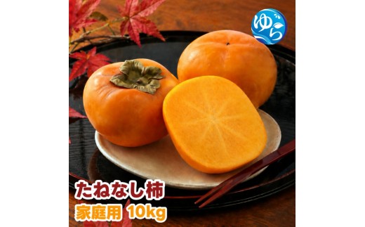 
                  【ふるさと納税】 たねなし柿 10kg 家庭用 / 柿 刀根早生 平核無柿 富有柿 ※2026年9月下旬から11月上旬に順次発送 ※北海道・沖縄・離島への配送不可  【ikd504-c-10】
                