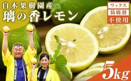 【先行予約】璃の香レモン 約5kg（12〜25個） 高知県土佐市 【株式会社SHIRAKI】 [BQAI026]