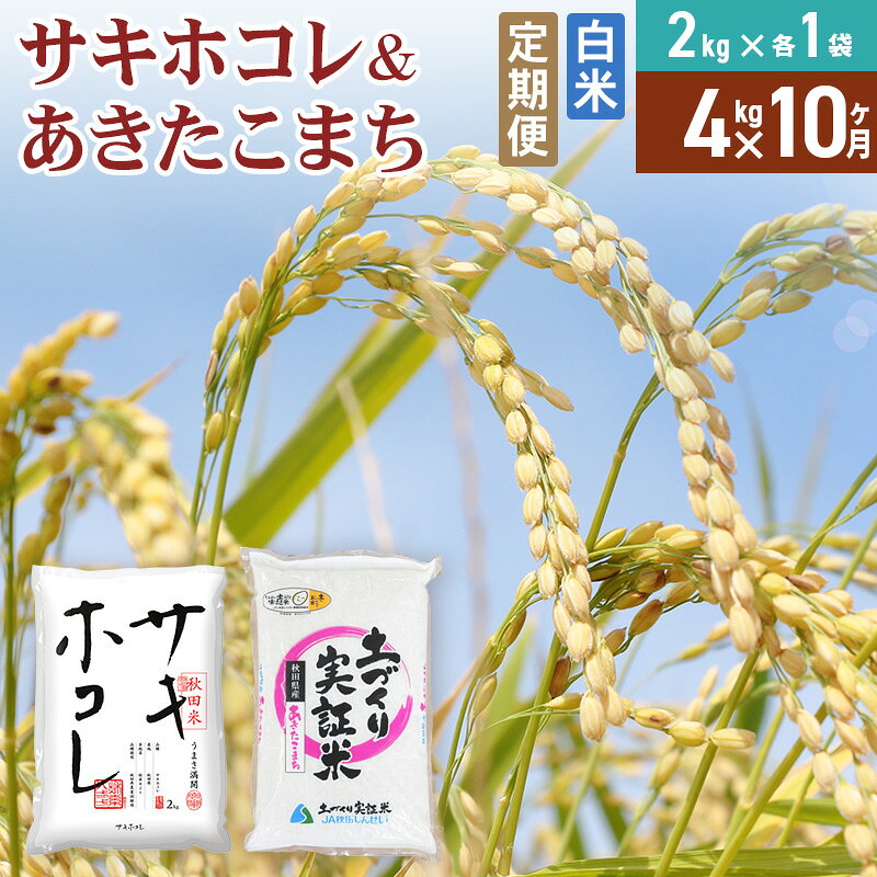 【ふるさと納税】《定期便10ヶ月》【白米】令和7年産 サキホコレ2kg・土づくり実証米あきたこまち2kg (計4kg) ×10回 計40kg 精米 特A評価米 秋田県産