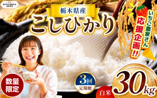 【定期3回】数量 限定 訳あり 定期便 令和8年度 栃木県産 コシヒカリ 約 30kg | 数量限定 こしひかり 精米 白米 米 ごはん おいしい okome kome お米 コシヒカリ ふるさと納税 那珂川町 栃木県【栃木県共通返礼品】