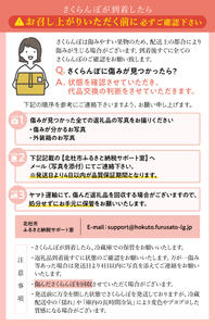 完熟大玉・さくらんぼ（3L～4Lバラ 約350g）【2025年先行予約】 さくらんぼ 3L〜4L 完熟大玉バラ 約350g 【期間限定】 毎日農業記録賞 全国最優秀賞 受賞 紅秀峰 紅秀峰系統 大玉 