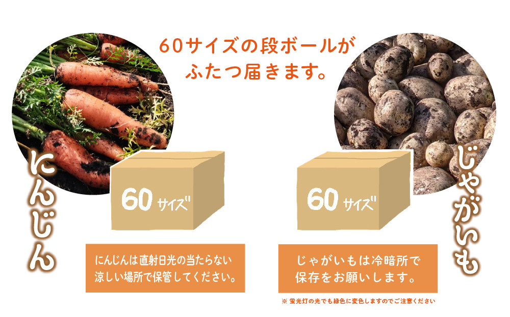
            おにぎり坊主の土つき有機じゃがいもと有機にんじんのセット＿0085-011
          