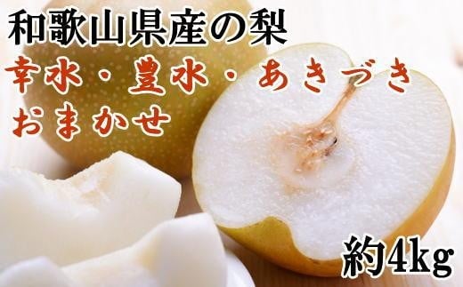 和歌山県産の梨約4kg(品種おまかせ)★2025年8月下旬から10月中旬頃順次発送