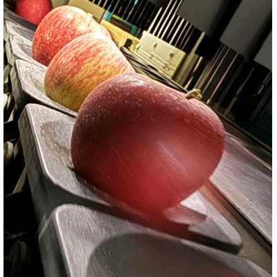 人気沸騰中　名月　訳あり品　5kg(13個～20個)【令和6年11月中旬より順次発送】【配送不可地域：離島】