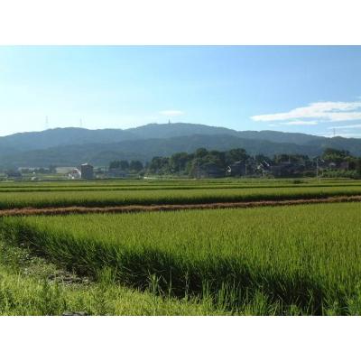 ふるさと納税 宝達志水町 米 コシヒカリ 「弘宝米」 玄米 30kg [中西農場 石川県 宝達志水町 38601281] |  | 02