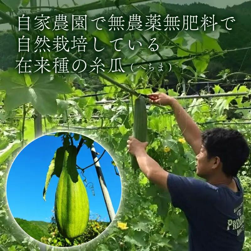 ヘチマたわし (Sサイズ) 未漂白 たわし ボディスポンジ 有機JAS認定農園