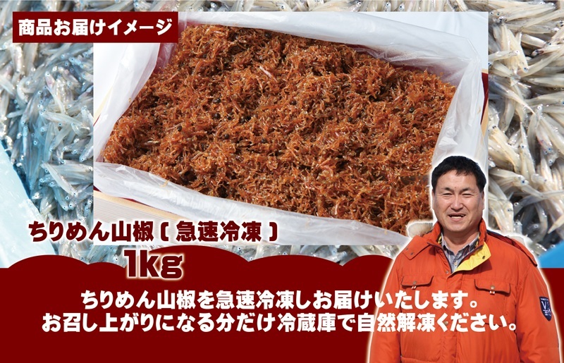 ちりめん山椒しらす 1kg【シラス 国産 魚介類 しらす ご飯のお供 海鮮丼 冷凍】 015B390_イメージ4