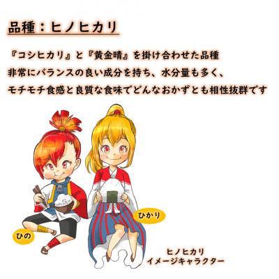 ふるさと納税 岡山市 《岡山県産お米_令和7年産》【ヒノヒカリ】玄米5kg |  | 01