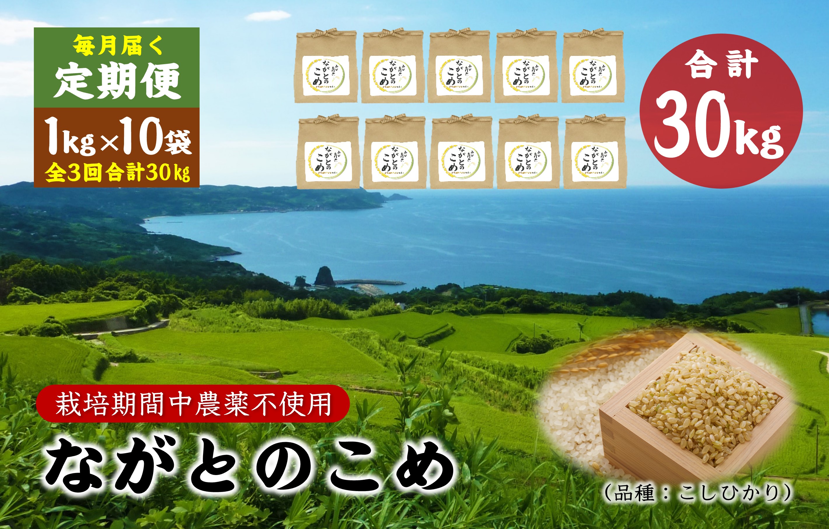 (1614)定期便 ながとのこめ こしひかり 玄米 1kg×10袋 毎月 全3回 合計30kg コシヒカリ 長門市