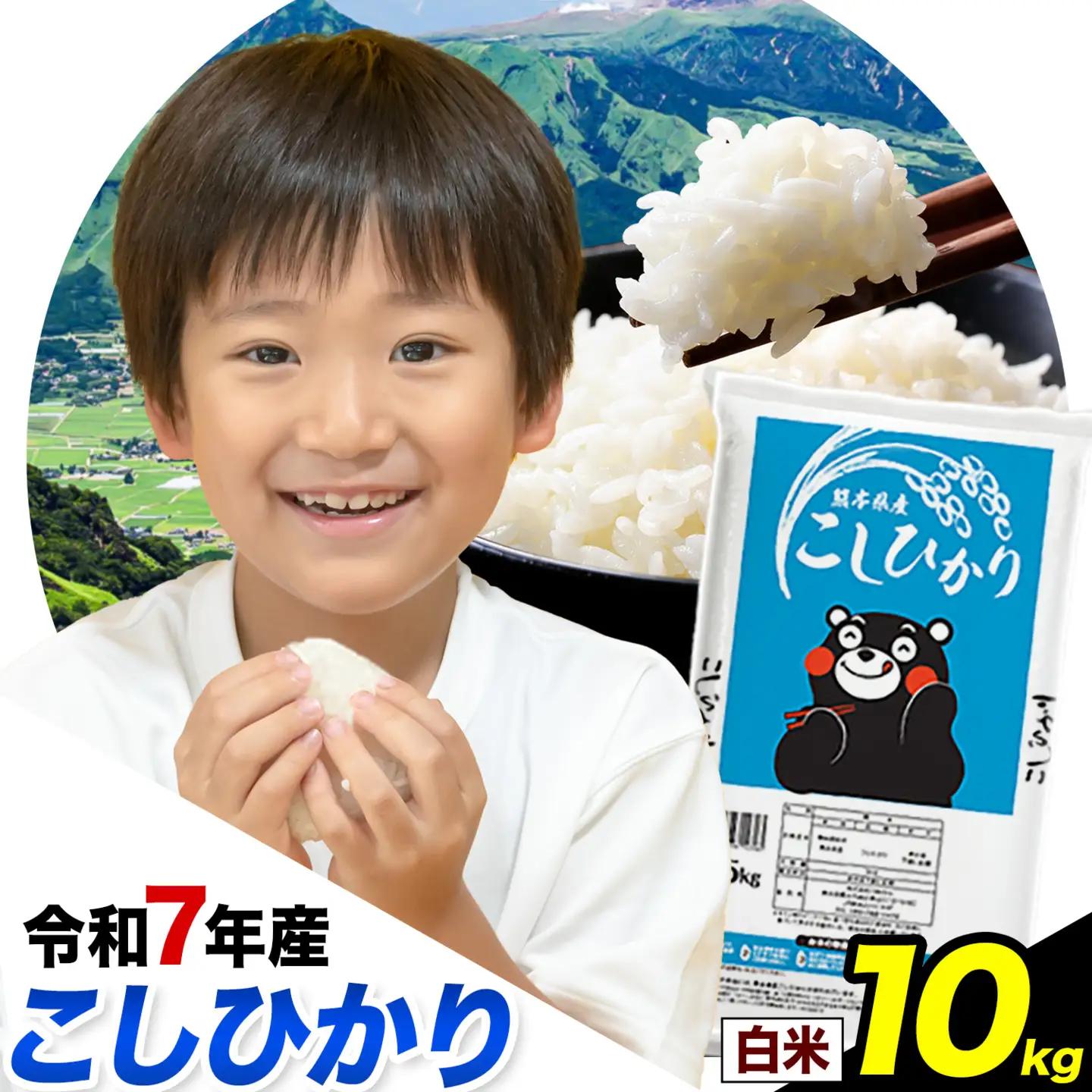 令和7年産 こしひかり 白米 10kg 熊本県産《7-14日以内に出荷予定(土日祝除く)》