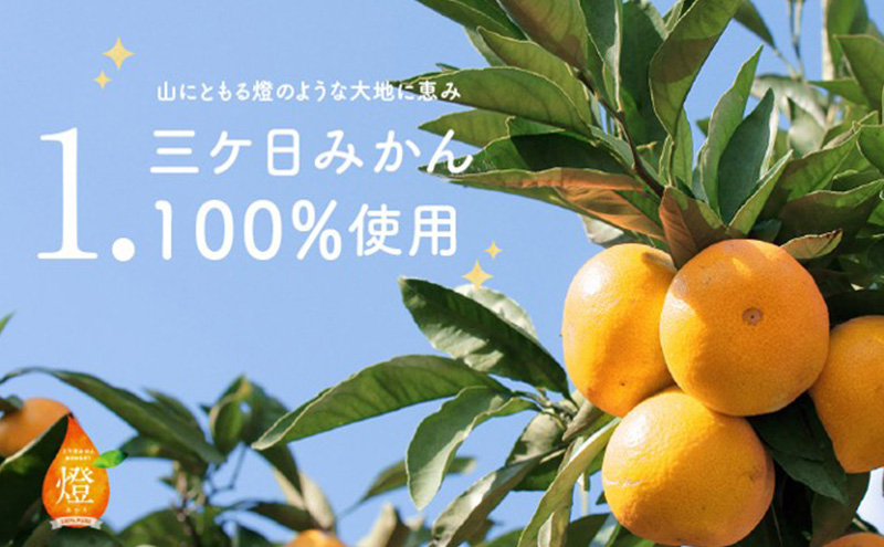三ヶ日みかん生搾りジュース燈（あかり）【180ml×6本入】 みかん ジュース 濃厚 三ヶ日みかん青島 生搾り 100%ジュース 静岡 浜松市