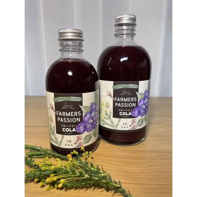 ふるさと納税 豊川市 【豊川市】完熟ブルーベリーのクラフトコーラ2本セット