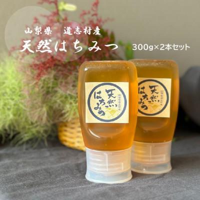 ふるさと納税 道志村 道志村産　天然はちみつ(ボトルタイプ)300g×2本