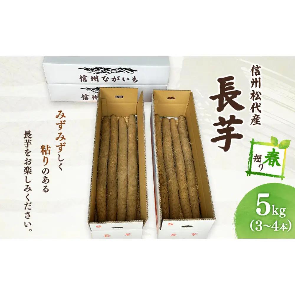 熊原果樹園　長芋（春堀り）5kg | 長いも 春堀り シャキシャキ 粘り