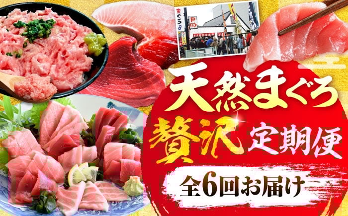 
            【全6回定期便】まぐろ 豪華 食べ比べ 定期便 鮪 マグロ 定期 横須賀 神奈川 赤身 中トロ メバチ ねぎとろ ネギトロ まぐろのたたき まぐろたたき 冷凍 大トロ 【横須賀商工会議所 おもてなしギフト事務局（本まぐろ直売所 横須賀本店）】 [AKAK123]
          