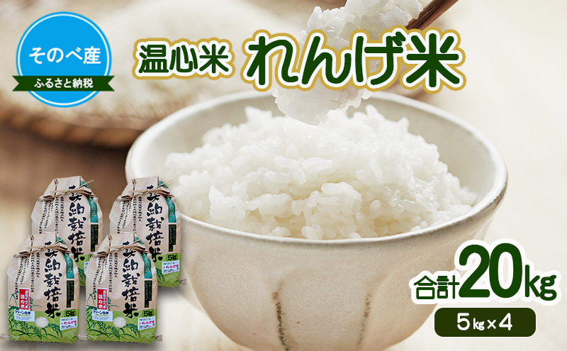 れんげ米20kg(5kg×4) 令和7年度産　そのべ産 温心米 20kg　お米 単一原料米 こしひかり 丹波 精米 白米 こめ コメ 京都