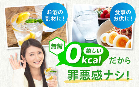 【全3回定期便】VanaSilica 強炭酸水 48本[AOEH029]炭酸