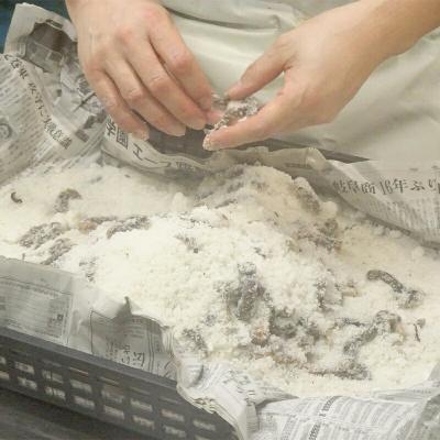 ふるさと納税 山田町 釣り エサ 用 塩エラコ 100g×3パック |  | 03