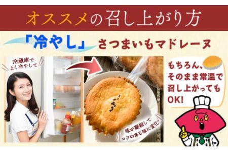 さつまいもマドレーヌ さつまいものガレットブルトンヌ セット (3個) (3枚入 × 1袋) 6個セット 株式会社純八商店《30日以内に出荷予定(土日祝除く)》ギフト 送料無料 クッキー
