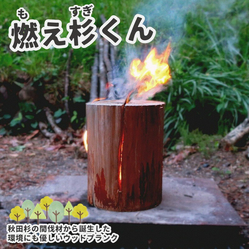 【ふるさと納税】里山くらし応援 木工品 秋田杉のスウェーデントーチ「燃え杉くん（もえすぎくん）」　 雑貨 日用品 アウトドア キャンプ 　お届け：入金確認後、2週間～1か月程度でお届けします。