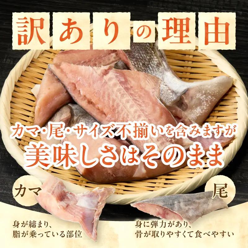 訳あり！ 天然 白鮭 甘口 切身 約2kg 便利なジッパーバック入り (a15-714)
