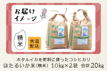 【訳あり】ほたるいか米（精米２０kg）【通年発送】