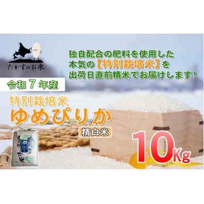 ふるさと納税 鷹栖町 令和7年産予約 たかすのお米 特別栽培米 ゆめぴりか 10kg(精白米)
