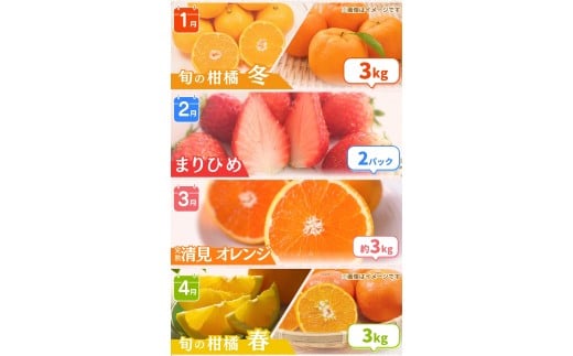 【全12回定期便】 わかやま旬のくだもの定期便 【Ｓ】 （配送日時指定不可）  / 定期便 フルーツ みかん いちご イチゴ 清見オレンジ セミノール 河内晩柑 カラマンダリン すいか 桃 ジュース 