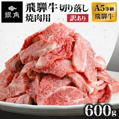 
                  ＜毎月定期便＞＜訳あり＞飛騨牛切り落し焼肉用600g全3回【4090432】/　牛肉 肉 和牛 訳あり 切落し 不揃い 黒毛和牛 焼肉 ステーキ 人気 焼肉 牛肉 お取り寄せ グルメ 冷凍牛肉 ブランド牛肉 バーベキュー 贈答 贈り物 ギフト おすすめ
                