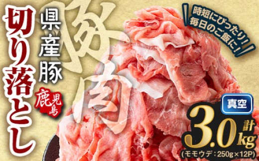 ＜60日以内に発送予定＞鹿児島県産 豚肉切り落とし (計3.0kg) 真空パック 豚肉 切り落とし【Rana】A1016