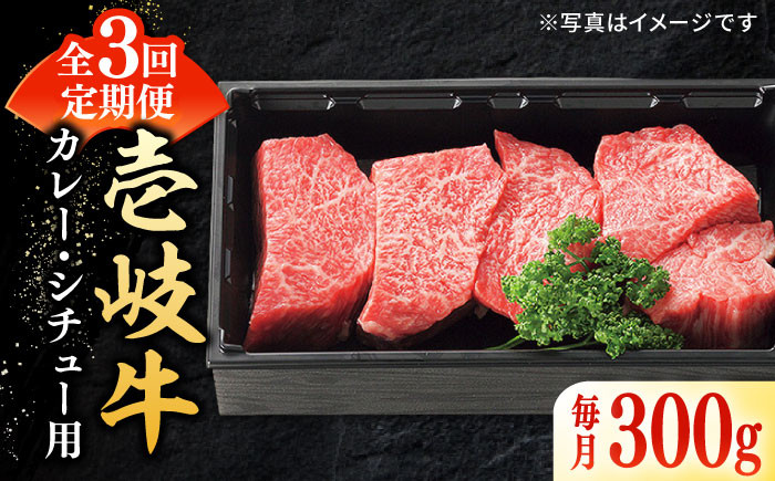 
【全3回定期便】 特選 壱岐牛 すね肉 300g（カレー・シチュー用）《壱岐市》【太陽商事】[JDL079] 肉 牛肉 黒毛和牛 ブランド牛 カレー シチュー 赤身 チマキ 煮込み ブロック 国産 九州 お祝い 18000 18000円
