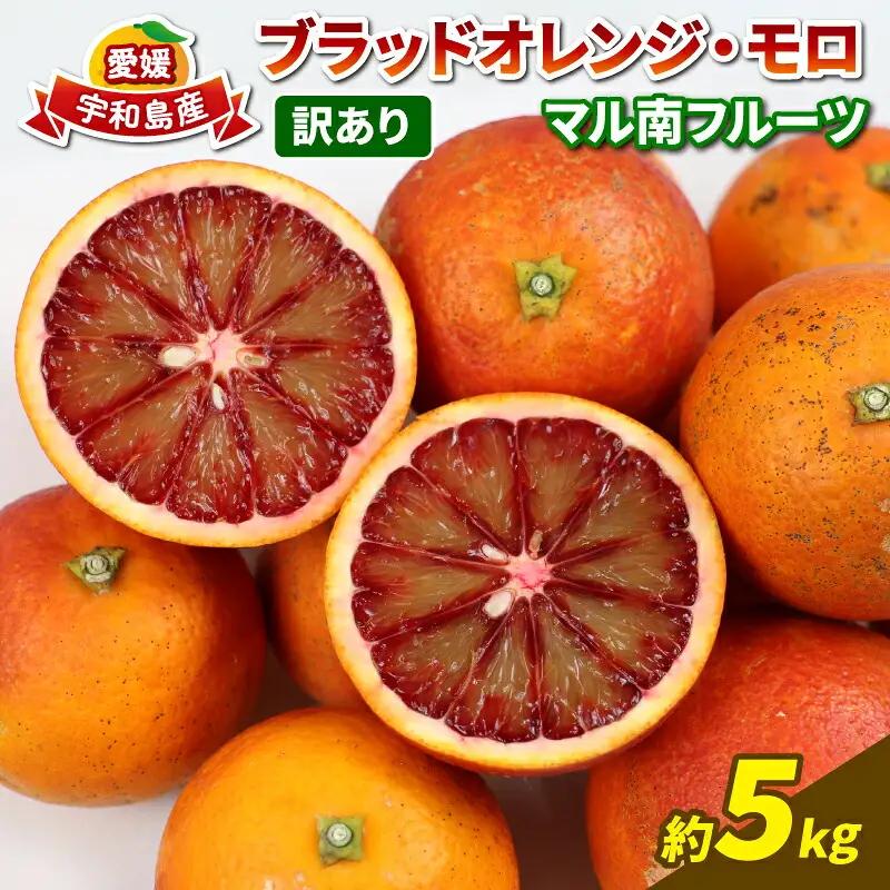 訳あり ブラッドオレンジ モロ 5kg オレンジ フルーツ マル南フルーツ 【 オレンジ フルーツ 】 B012-106006