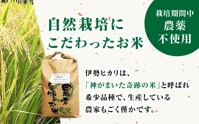 栽培期間中農薬不使用 令和5年産 伊勢ヒカリ（イセヒカリ） 精米（無洗米） 20kg /鶴ノ原北川農園 [UDL010] 白米 米 お米 こめ 白米 精米 ブランド米