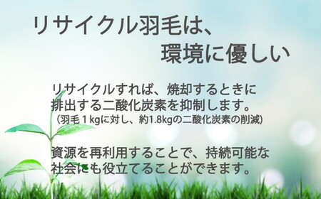 ザ・羽毛布団 リサイクルダウン ロイヤルグリーン シングル 150×210cm リサイクルホワイトダックダウン70％ 羽毛 掛け布団 立体キルト【251-000370-20】 【10-69】