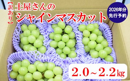 【2026年発送分 先行予約】【高評価】【訳あり】土屋さんのシャインマスカット（４～６房程度・２ｋｇ～２．２ｋｇ） 訳アリ フルーツ 果物 やまなし 山梨 ぶどう