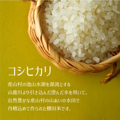 ふるさと納税 産山村 【令和7年産新米】阿蘇うぶやまのコシヒカリ5kg×1袋 |  | 01