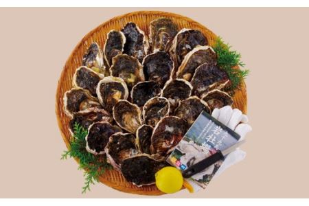 牡蠣 【 九十九島 】 牡蠣 3.5kg 産地直送 カキ A164