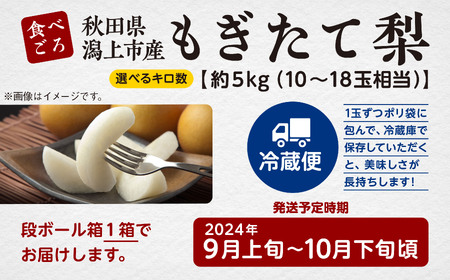 梨 5kg 採れたて あきた梨 幸水 あきづき 南水 かおり 秋泉 秀玉 新星 新高 12~18玉前後 旬 果物 くだもの フルーツ なし 冷蔵 送料無料 お取り寄せ 秋田県産 秋田 潟上市 《9月中
