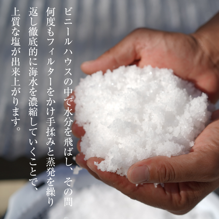 淡路島海塩 TEN-PI-EN 小粒大粒パウダーセット 50g×6袋_イメージ3
